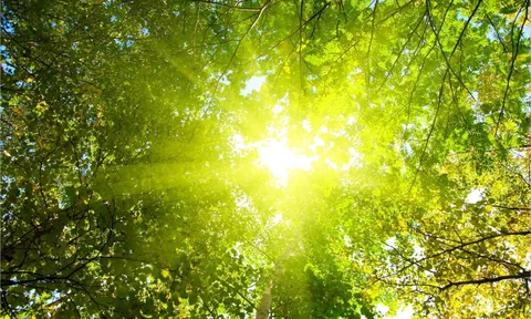 Dự báo thời tiết 5/7: Hà Nội có xu hướng giảm dần nhiệt độ, mưa giông vào chiều tối
