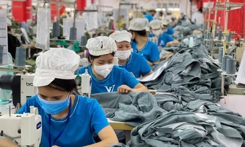 Thu thập thông tin thị trường lao động từ 1/8