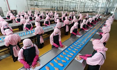 Lao động đi làm việc tại Hàn Quốc được vay vốn 100 triệu đồng để ký quỹ