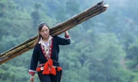 Bất bình đẳng giới cản trở nhiều phụ nữ có việc làm được trả lương