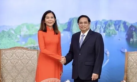 Việt Nam ngày càng nổi lên ở tầm khu vực và toàn cầu