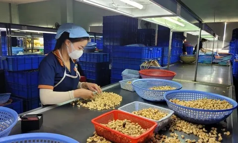Doanh nghiệp "khát" lao động