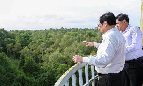 Thủ tướng Phạm Minh Chính khảo sát khu bảo tồn thiên nhiên độc đáo tại đồng bằng sông Cửu Long