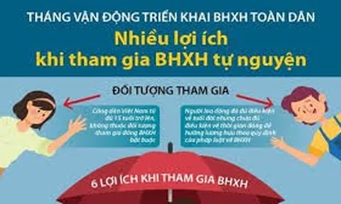 Thủ tục cho người lao động tự do muốn hưởng lương hưu