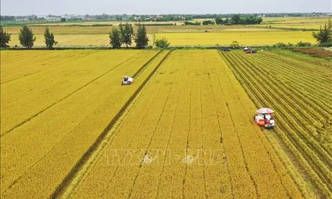 Chuyển đổi số hướng tới nông thôn mới thông minh