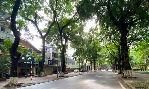 Dự báo thời tiết 8/8: Hà Nội giảm mưa, nhiệt độ tăng nhẹ