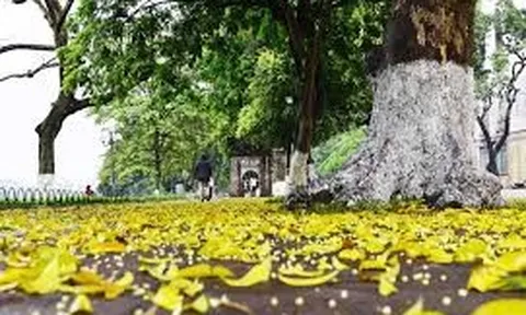 Hà Nội vào thu