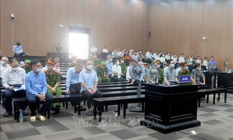 Xét xử cựu lãnh đạo Bình Dương: Vai trò đồng phạm rõ rệt của các bị cáo tham ô