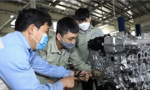 Kỹ năng giao tiếp và hợp tác là yếu tố quan trọng nhất của người lao động