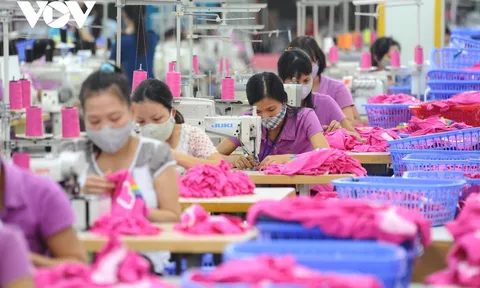 Thị trường lao động cuối năm có nhiều khởi sắc?