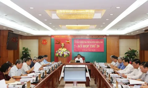 UBKT Trung ương đề nghị kỷ luật ông Tô Anh Dũng và Nguyễn Quang Linh vụ chuyến bay 'giải cứu'