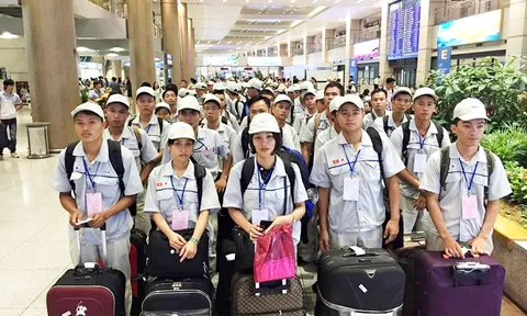 Đề xuất bổ sung đối tượng được Nhà nước hỗ trợ đi làm việc ở nước ngoài
