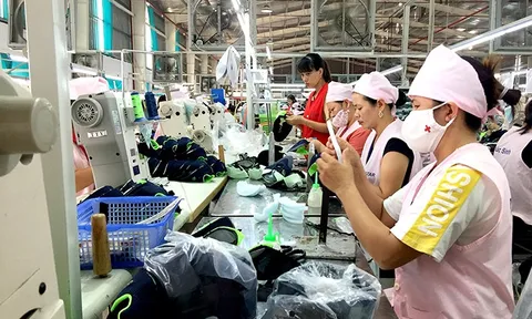 4,4 triệu lao động mất việc làm do ảnh hưởng của dịch COVID-19