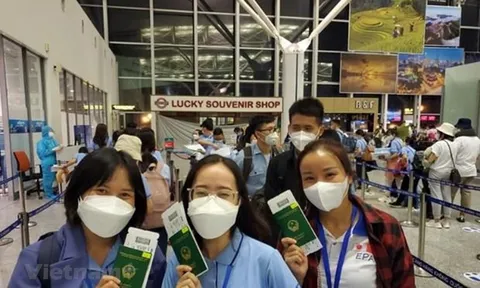Chương trình cấp phép việc làm cho lao động nước ngoài của Chính phủ Hàn Quốc (EPS): Tuyển gần 3.000 lao động