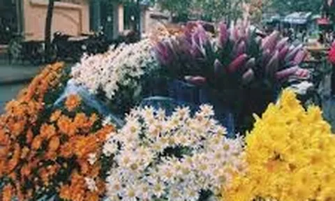 Dự báo thời tiết 13/10: Hà Nội ngày nắng, sáng sớm và đêm trời lạnh