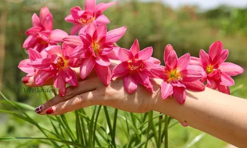 Dự báo thời tiết ngày 18/10: Hà Nội trời nắng, khô hanh