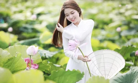 Nắng thu