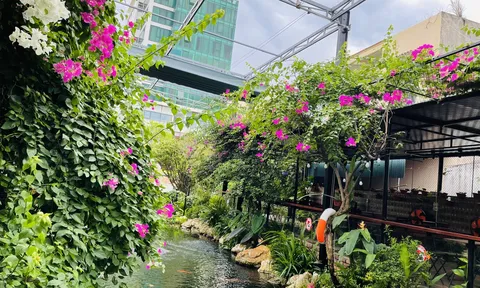 Xu hướng phát triển nền kinh tế gắn liền với bảo vệ môi trường - Mô hình kinh doanh xanh