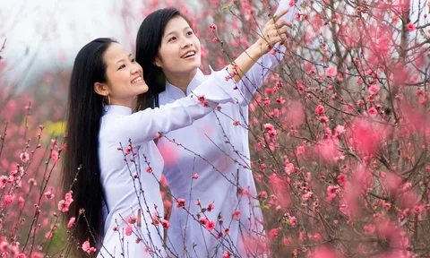 Chính thức trình Thủ tướng 2 phương án nghỉ Tết Nguyên đán Quý Mão năm 2023