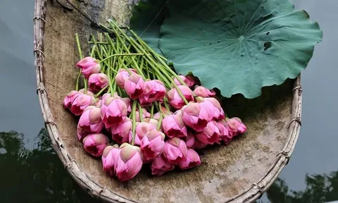 Dự báo thời tiết 30/10: Hà Nội sáng sớm có sương mù nhẹ rải rác, ngày nắng