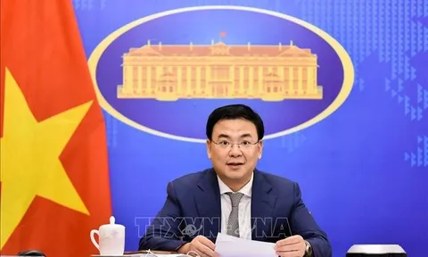 Thành lập Ban chỉ đạo về công tác bảo hộ công dân Việt Nam ở nước ngoài