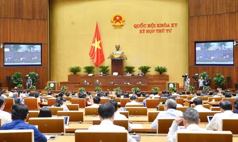 "Lãng phí niềm tin", "lãng phí trách nhiệm" tàn phá ghê gớm, không đo đếm được