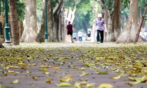 Dự báo thời tiết 9/11: Hà Nội ngày nắng, đêm và sáng trời lạnh