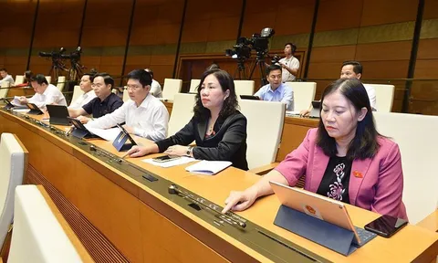 Bộ được lập thanh tra tổng cục, tỉnh được lập thanh tra sở