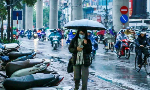 Dự báo thời tiết 19/11: Hà Nội có lúc có mưa, chuẩn bị đón không khí lạnh