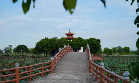Chùa Đậu và câu chuyện gìn giữ cổ thụ hàng trăm tuổi