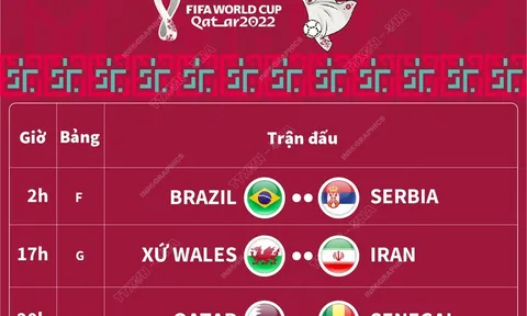 Lịch thi đấu World Cup 2022 ngày 25/11/2022