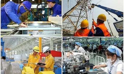 Chính sách với người lao động dôi dư khi sắp xếp lại công ty TNHH do Nhà nước nắm 100% vốn điều lệ