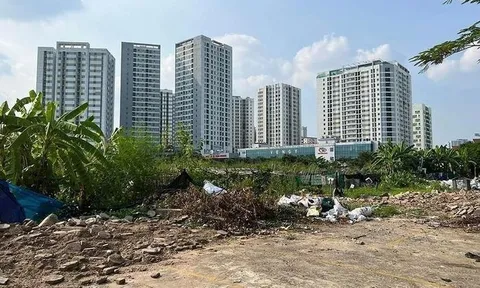Hà Nội: Doanh nghiệp làm đơn trả lại đất vì không đủ năng lực