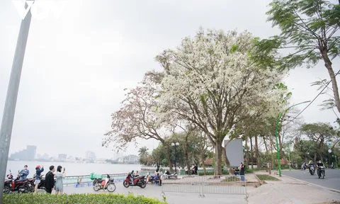 Dự báo thời tiết 13/12: Hà Nội sáng sớm có sương mù, ngày nắng. Trời rét