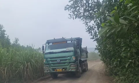 Nghệ An: Tai nạn lao động nghiêm trọng tại mỏ đá đang nợ thuế nhà nước