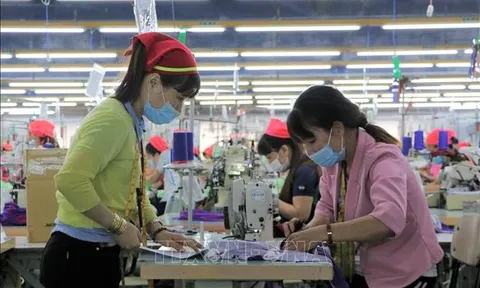 Hỗ trợ hợp tác xã do phụ nữ tham gia quản lý và tạo việc làm cho lao động nữ