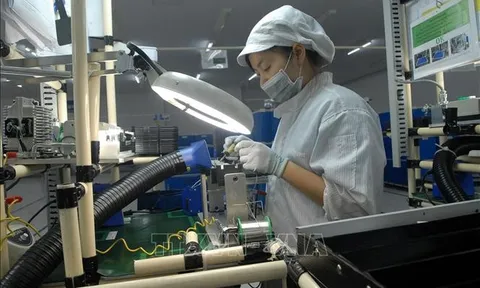 Ngành Khoa học và Công nghệ giải quyết bốn kiến nghị lớn từ địa phương