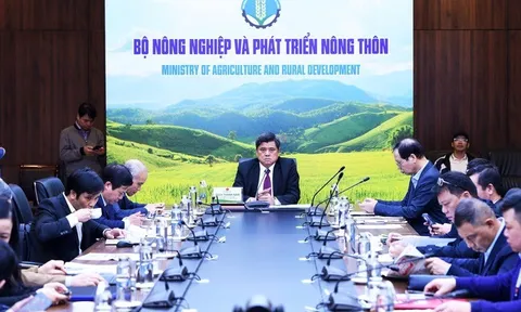 Diễn đàn “Thúc đẩy giao thương nông sản, thực phẩm giữa Việt Nam - Trung Quốc”