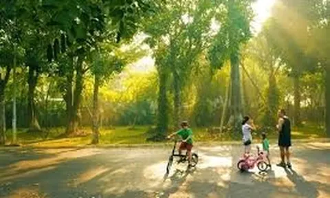 Dự báo thời tiết 12/2: Hà Nội mưa phùn về sáng, trưa chiều nắng