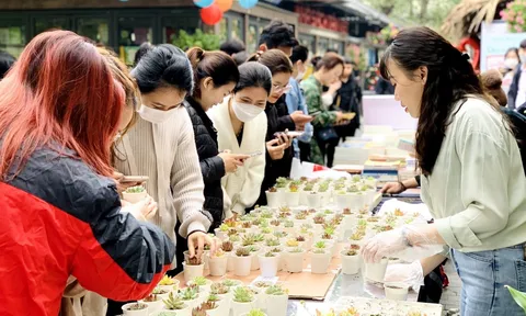 Dấu ấn qua 1 năm phát động và triển khai dự án Khuyến đọc Việt Nam