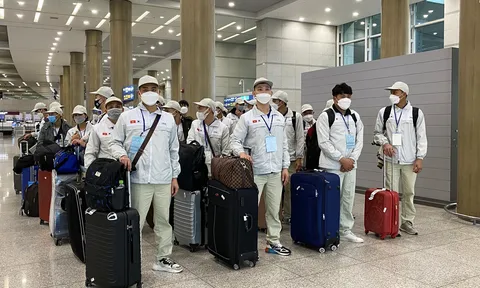Nhiều địa phương phải tạm dừng tuyển lao động sang Hàn Quốc
