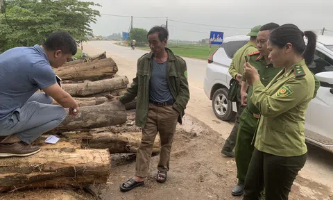  Hà Tĩnh: Công an xã Sơn Lộc thu giữ số gỗ keo bị chặt trộm trong đêm