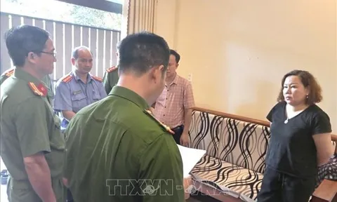 Khởi tố, bắt tạm giam nữ giám đốc trốn thuế hơn 3,5 tỷ đồng