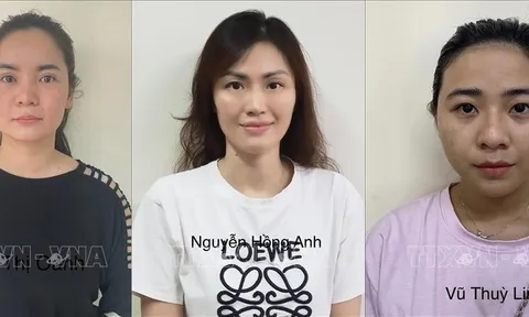 Khởi tố 5 bị can trong đường dây vận chuyển trái phép hơn 4.355 tỷ đồng ra nước ngoài