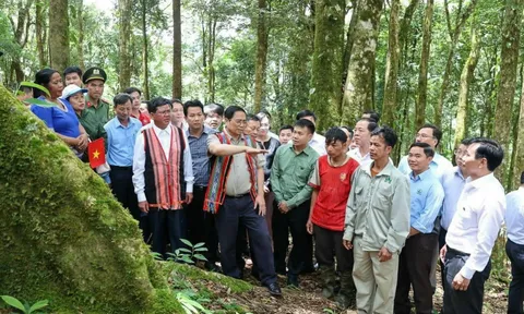 Thủ tướng Chính phủ Phạm Minh Chính trao tặng 12.000 cây sâm giống Ngọc Linh cho 300 hộ nghèo huyện Tu Mơ Rông, tỉnh Kon Tum