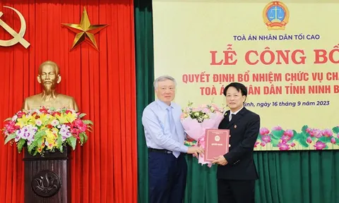 Bổ nhiệm Chánh án Tòa án nhân dân tỉnh Ninh Bình