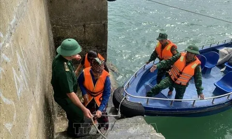 Cứu hộ thành công ba ngư dân bị đắm tàu tại khu vực Đảo Trần