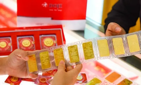 Giá vàng hôm nay (8/10): Vàng trong nước tiếp đà tăng nhẹ