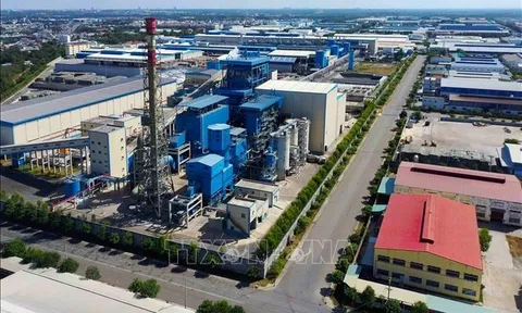 Những chính sách nổi bật có hiệu lực trong tháng 11/2023