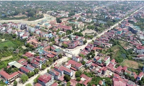 Thủ tướng thành lập Ban Chỉ đạo thực hiện sắp xếp đơn vị hành chính cấp huyện, cấp xã